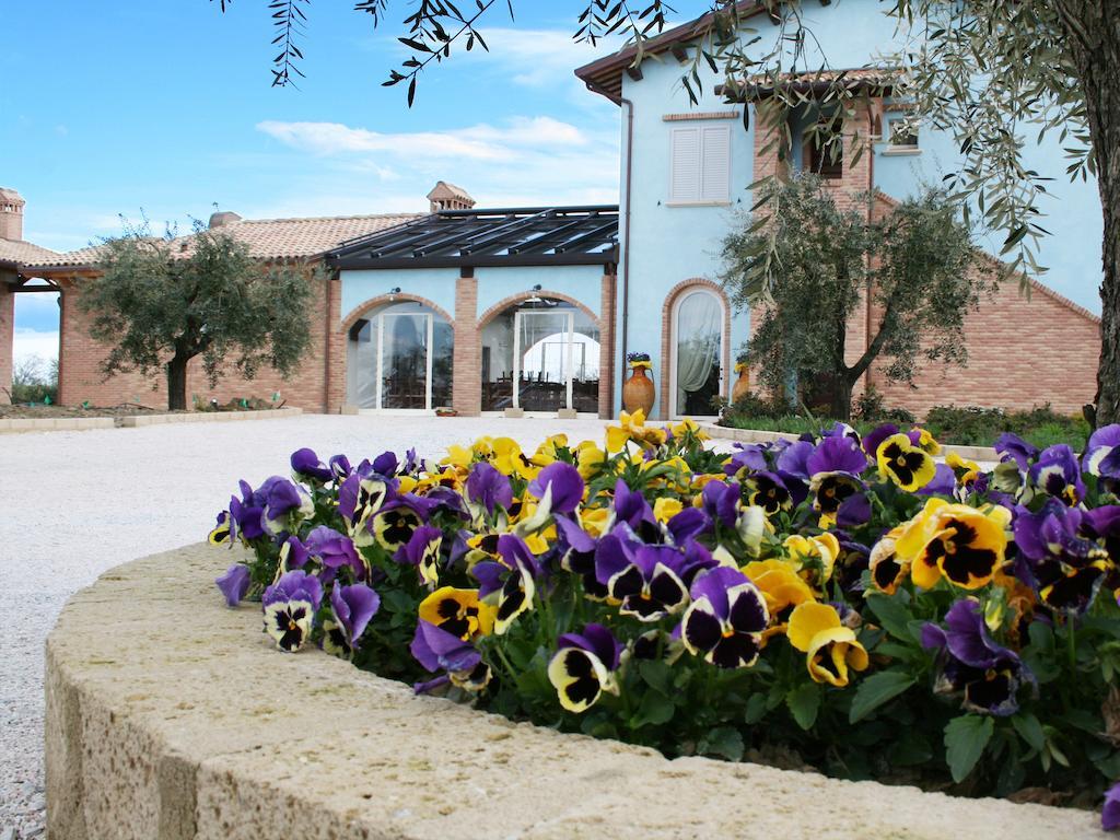 Agriturismo L'Infinito Villa Gambettola Dış mekan fotoğraf